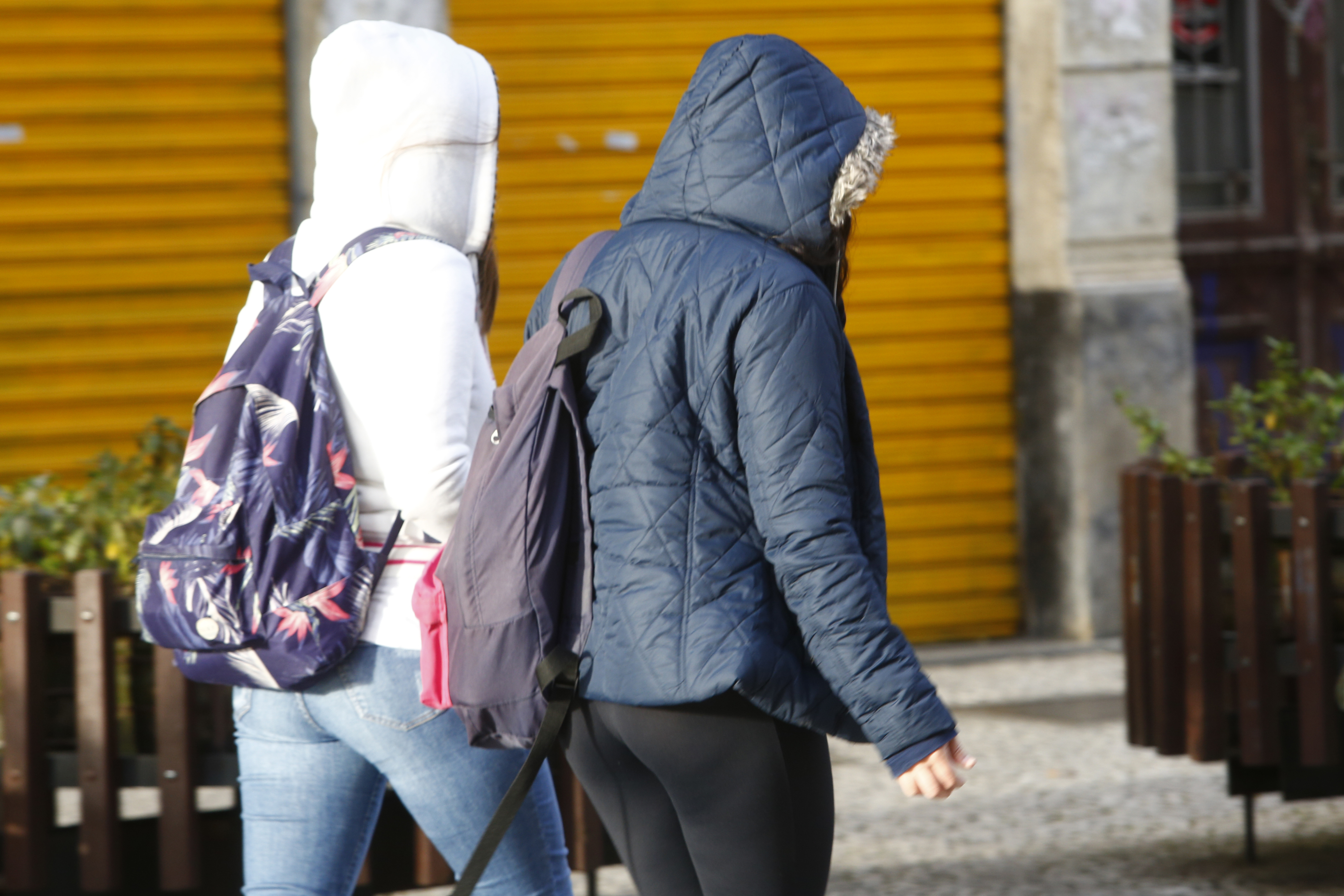 | Aniele Nascimento/Gazeta do Povo