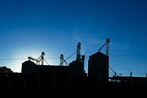 Longe da crise, cooperativas do Paraná querem faturar R$ 100 bilhões Cooperativas agrícolas do Paraná impulsionam sistema que busca faturar R$ 100 bilhões em três anos | Arquivo/Gazeta do Povo