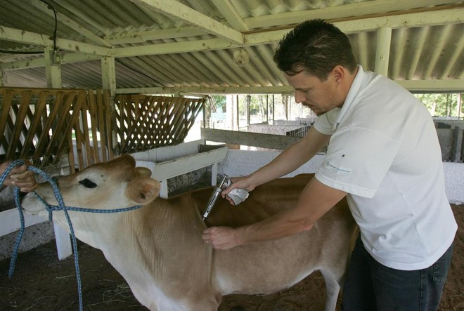 A jornada de trabalho será de 40 horas semanais. | Valterci Santos/Gazeta do Povo
