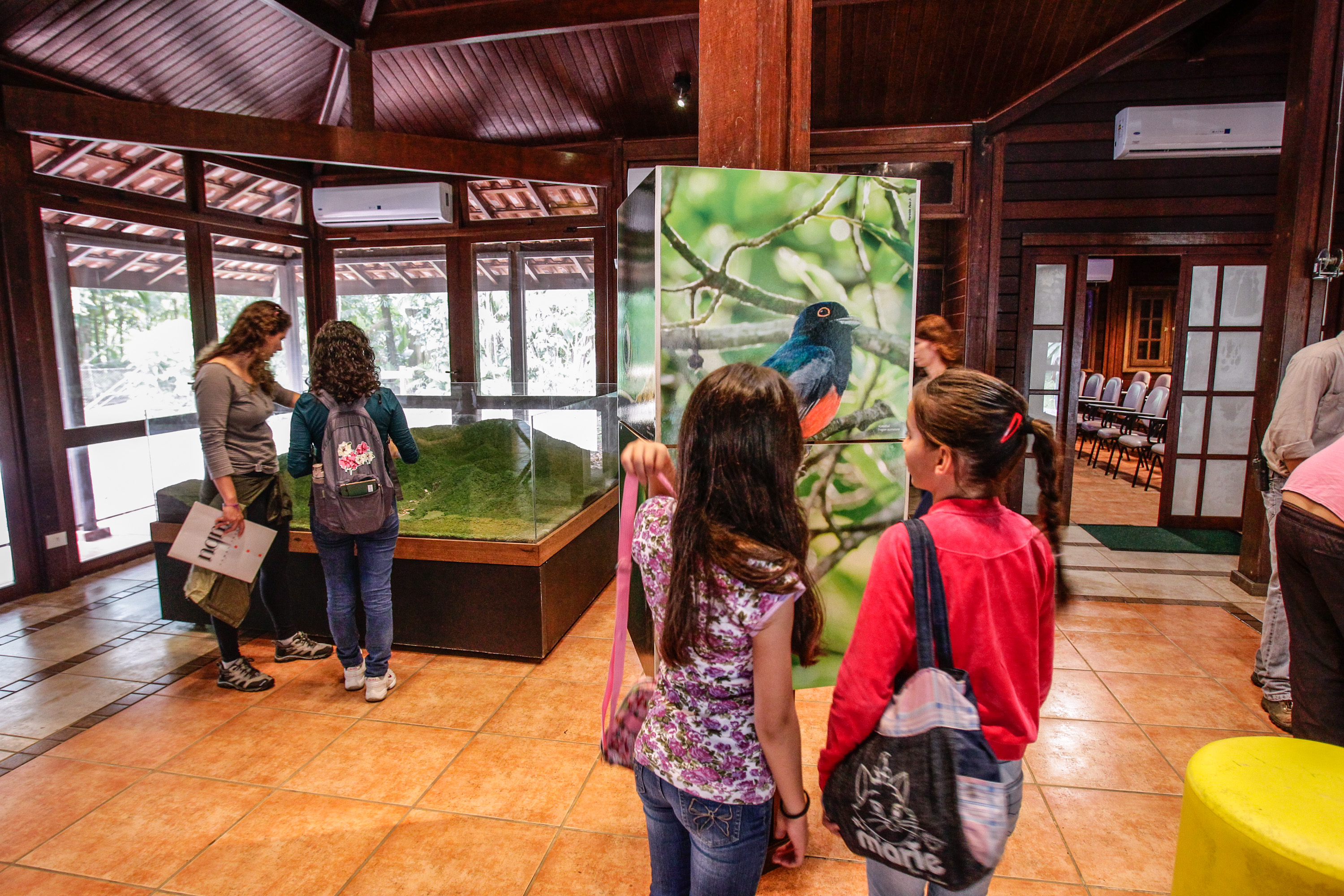 | Daniel Castellano/Arquivo Gazeta do Povo