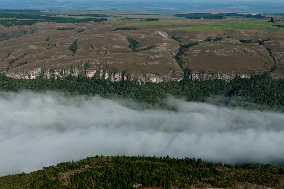 Agronegócio não vê problema em reduzir área de proteção ambiental | Henry Milleo/ Arquivo Gazeta do Povo