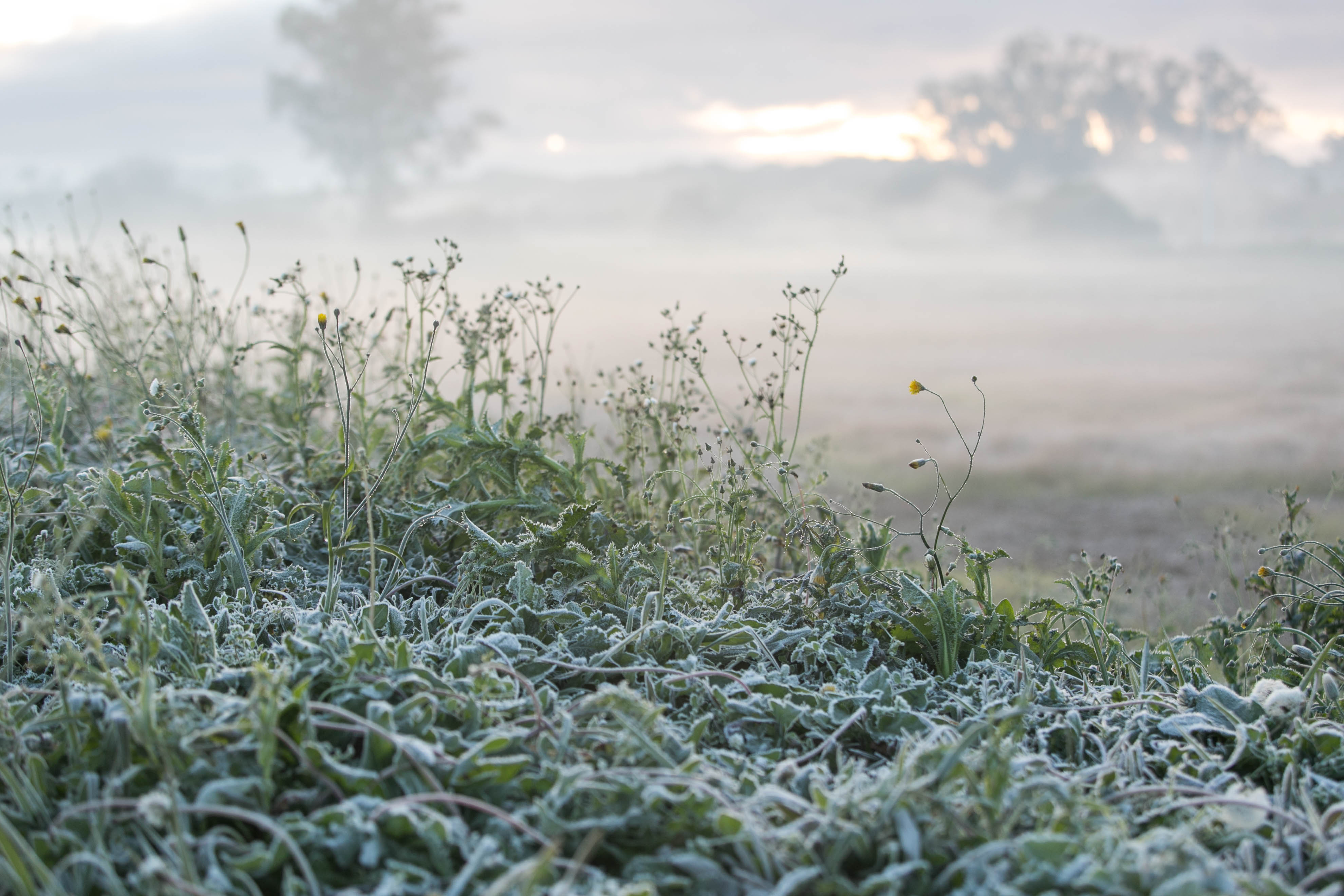 | Marcelo Andrade/Gazeta do Povo