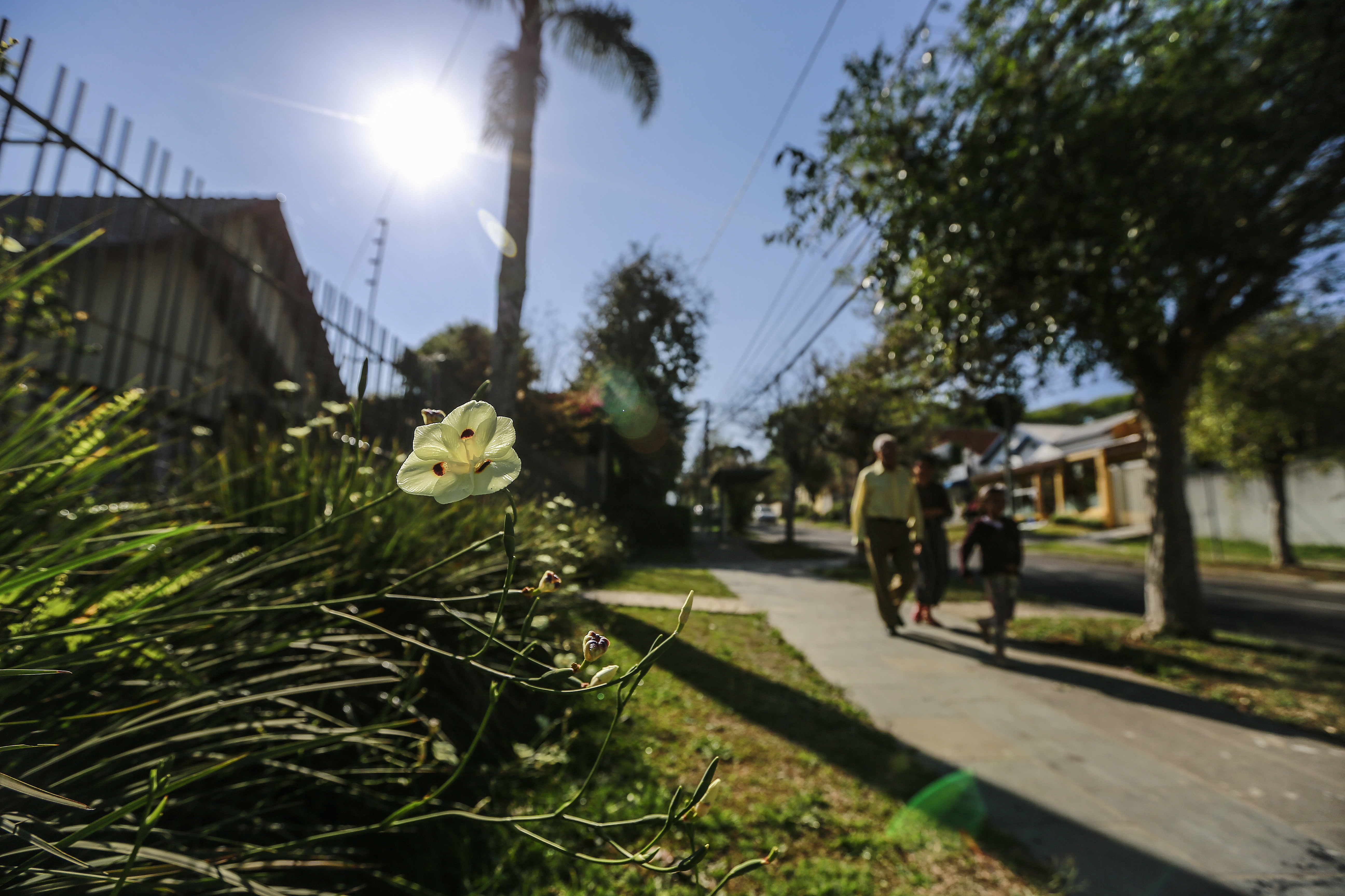 Nesta sexta (22), curitibanos ainda poderão aproveitar sol e céu azul | Jonathan Campos/Gazeta do Povo