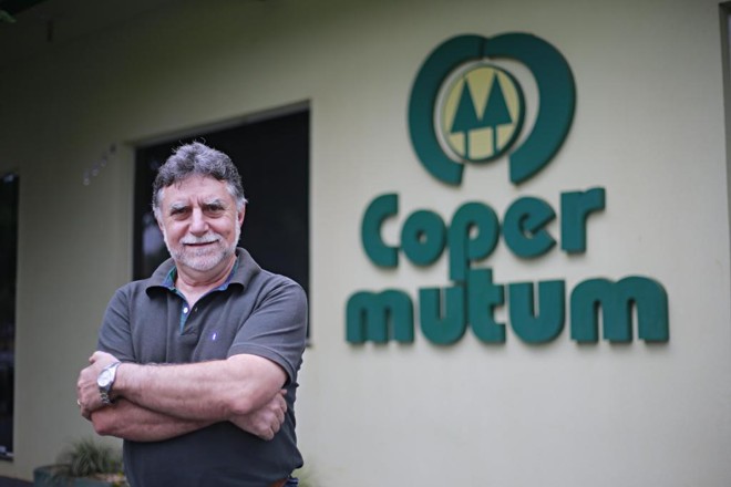No sistema da Copermutum, cada um dos 18 cooperados envolvidos com suinocultura possui um número de matrizes (de um total de 5 mil) que ficam na unidade produtora de leitões (UPL) da cooperativa. | Jonathan Campos/Gazeta do Povo
