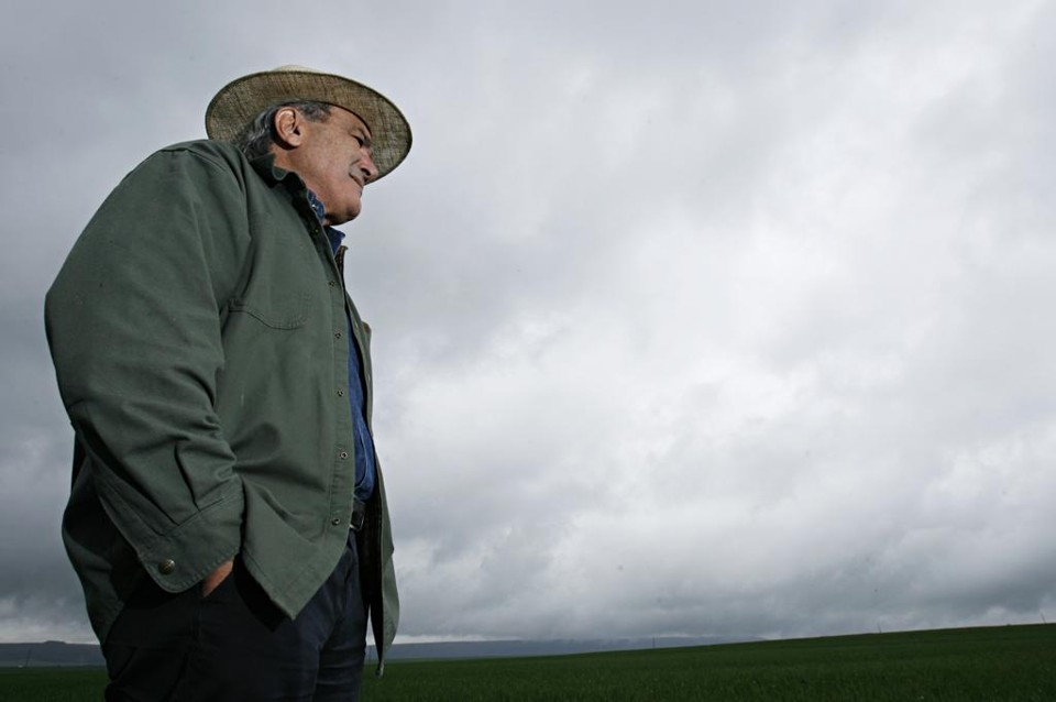 Governo vem protelando a liberação de verba para o seguro rural : valor subsidiado em 2017 deveria ficar em R$ 400 milhões | Arquivo/Gazeta do Povo