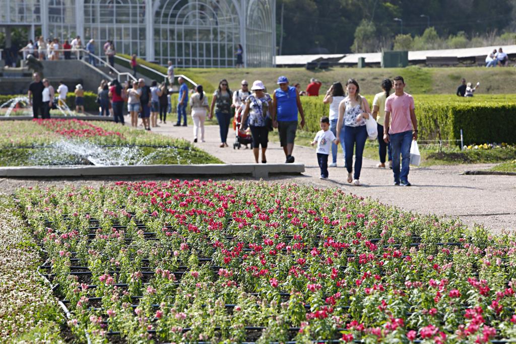As flores boca-de-leão vão colorir o Jardim Botânico dentro da campanha Outubro Rosa de prevenção ao câncer de mama. | Aniele Nascimento/Gazeta do Povo