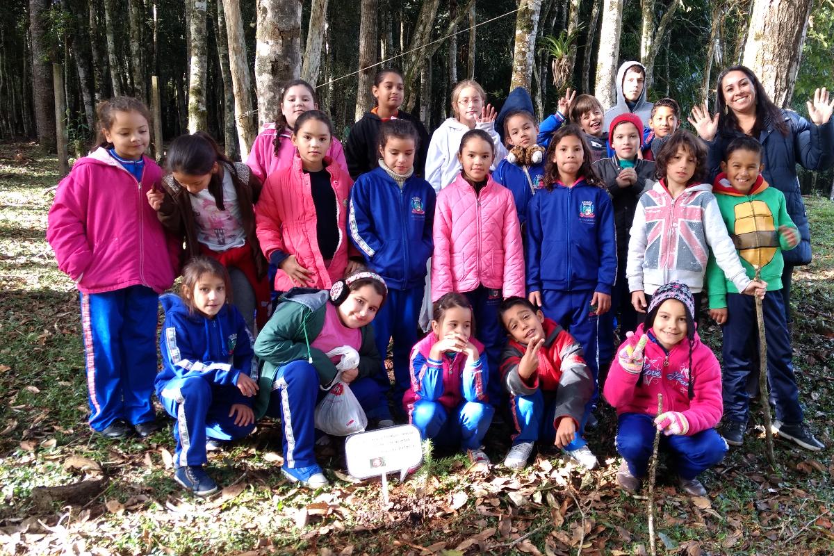 Alunos e professora foram estudar as araucárias de perto | Acervo pessoal