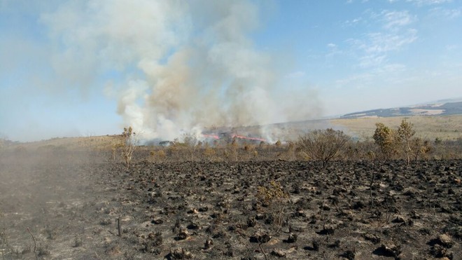 Pesquisadores do IAP planejavam realizar uma queima controlada no mesmo espaço atingido pelo incêndio | Divulgação/Instituto Ambiental do Paraná (IAP)