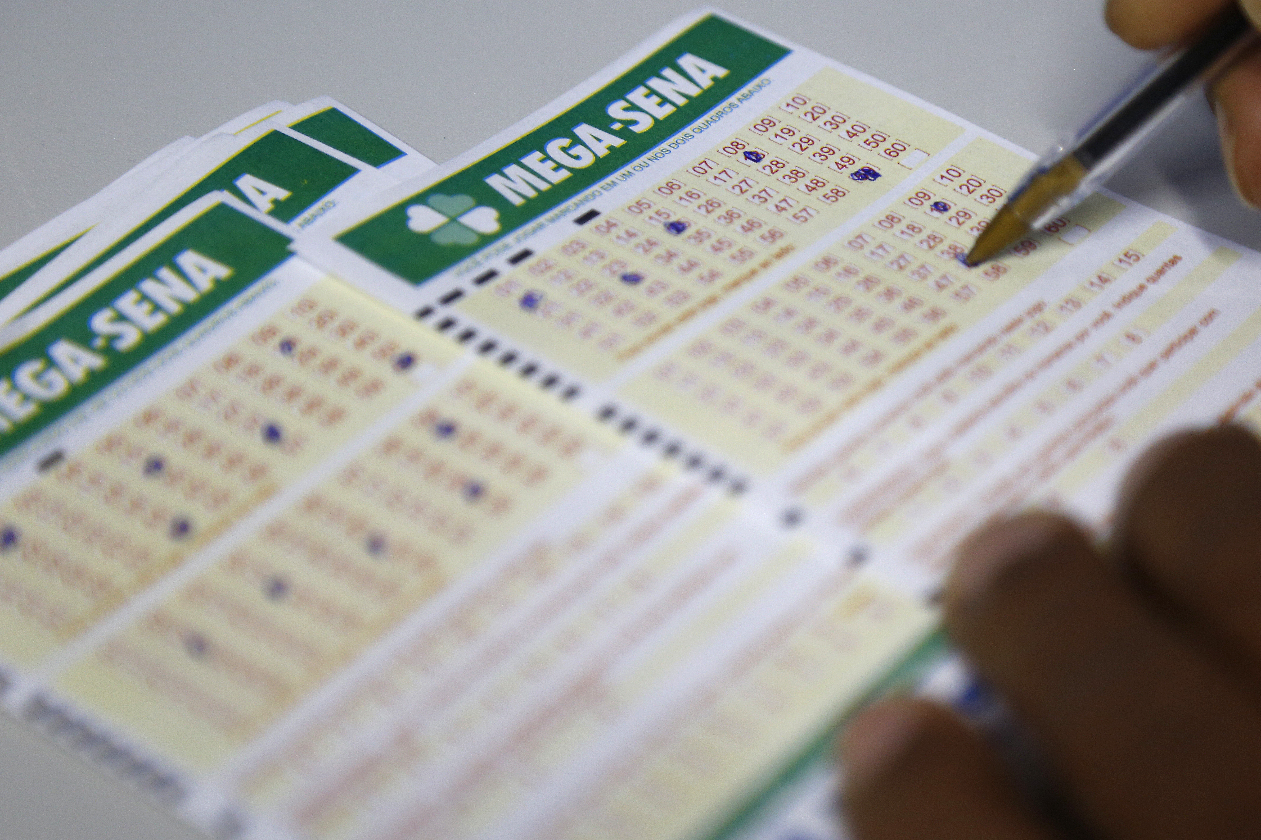 | Aniele Nascimento/Gazeta do Povo