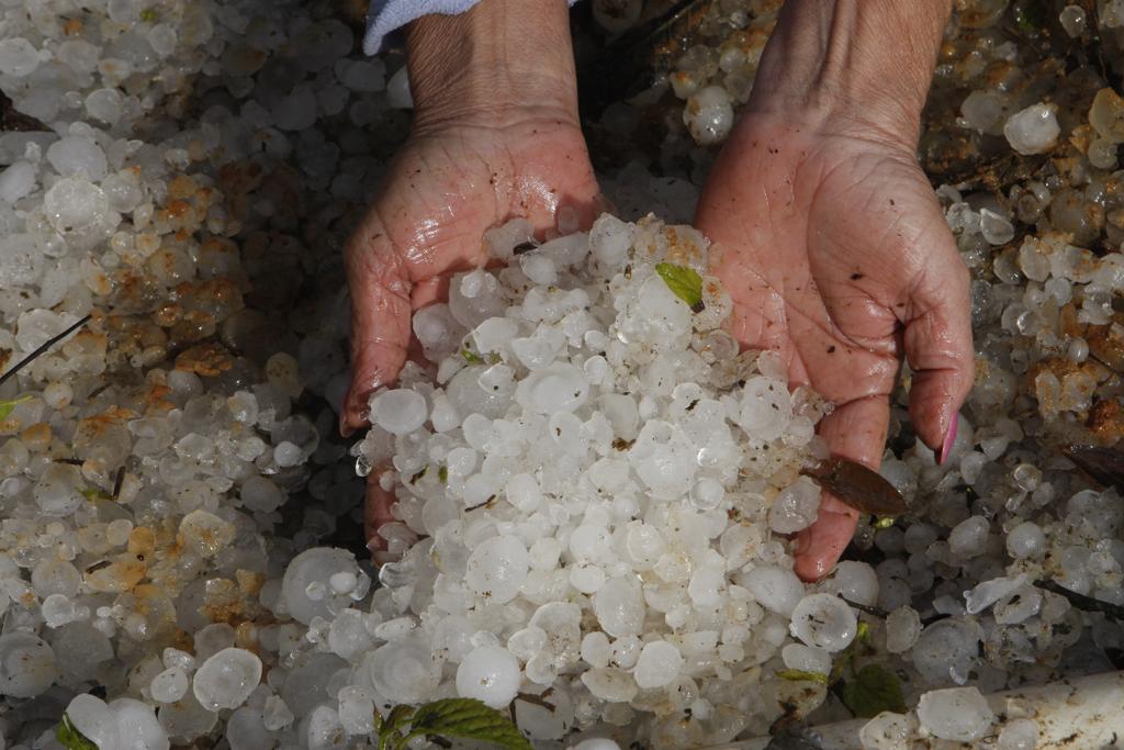 Ventos podem chegar a 100km/h em Curitiba e região. | Aniele Nascimento/Gazeta do Povo