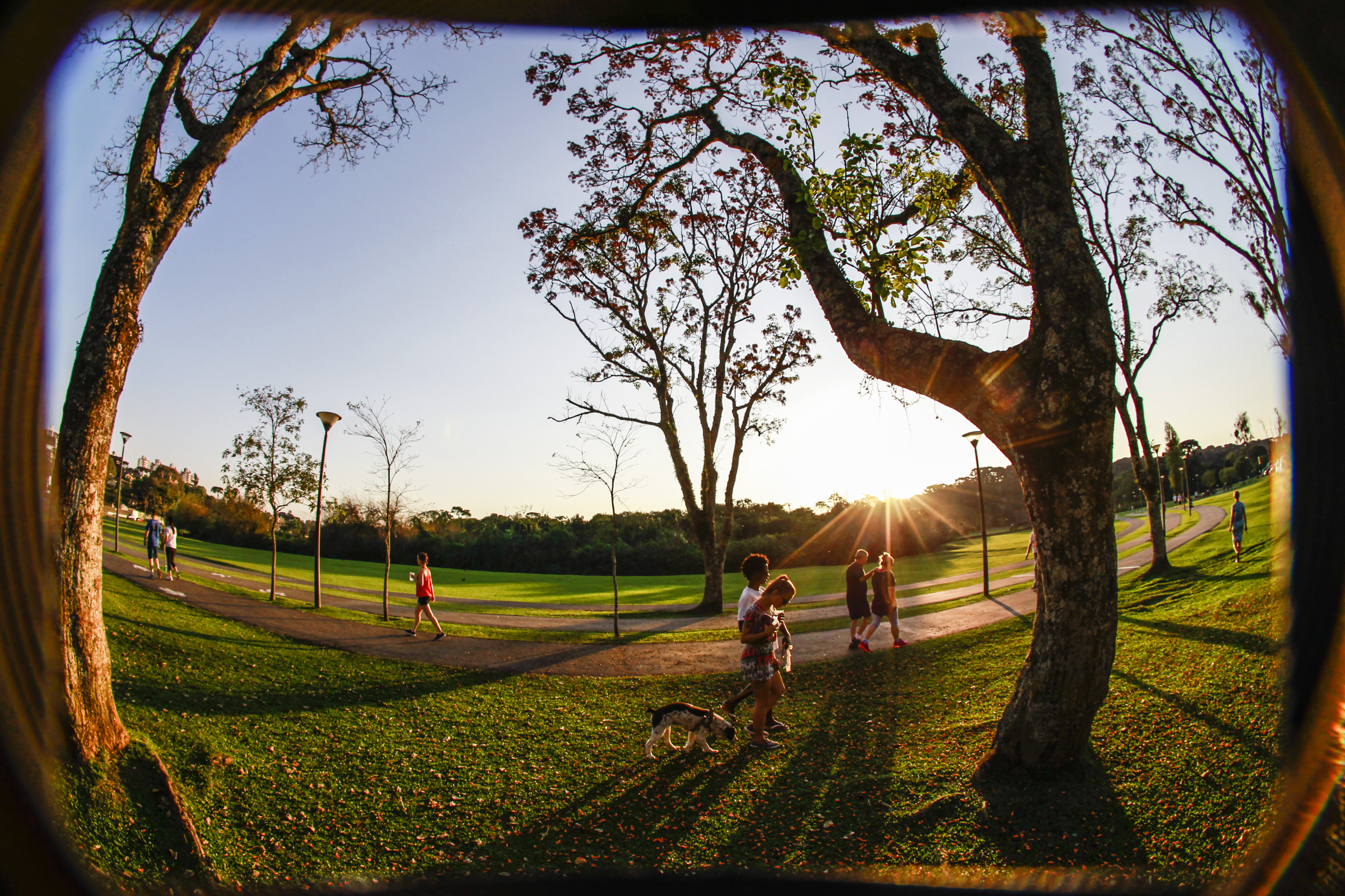 Para tentar acabar com o calor, grupo quer reunir insatisfeitos com o tempo seco para fazer dança da chuva | Daniel Castellano/Gazeta do Povo