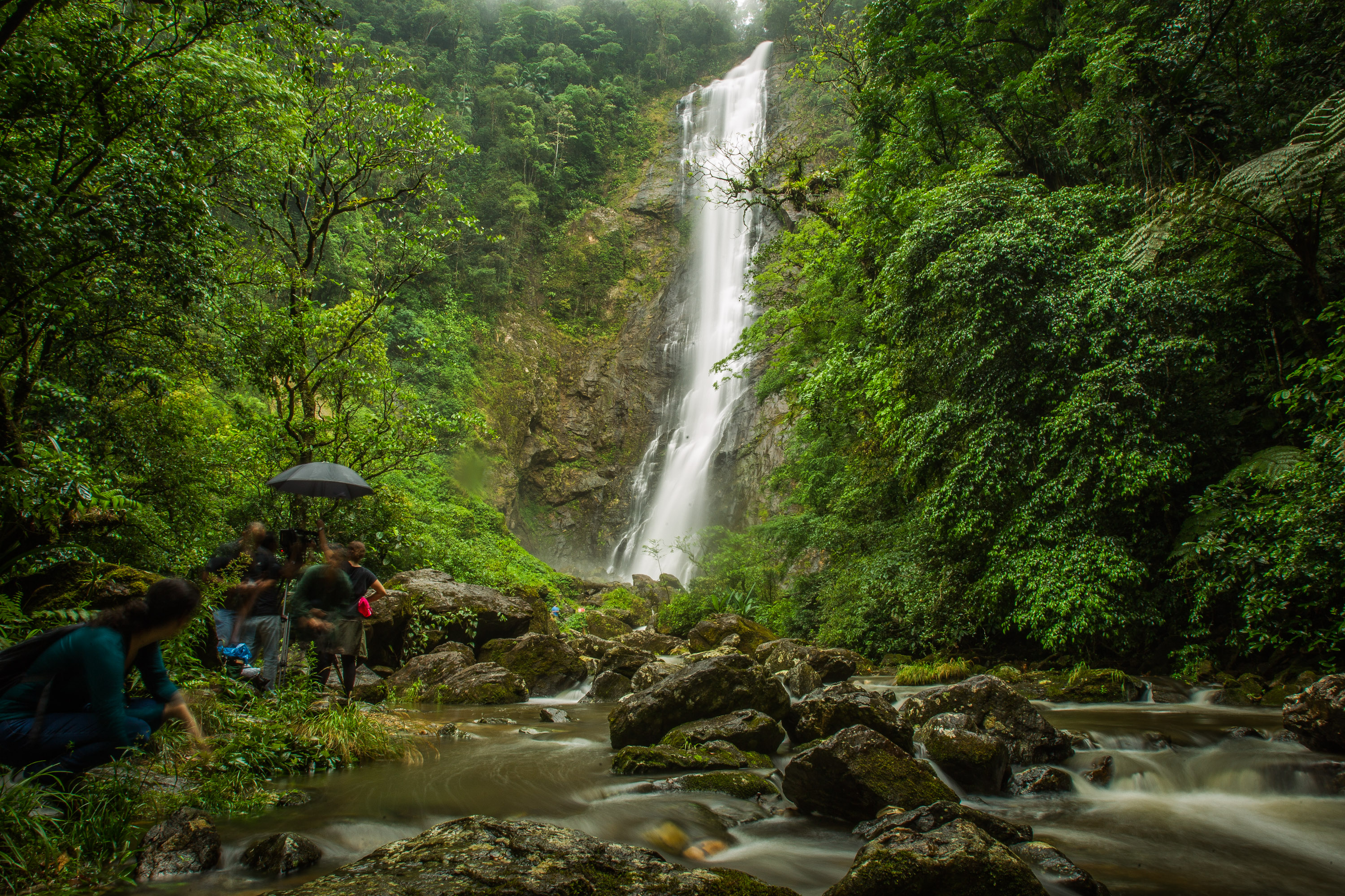  | Daniel Castellano/Arquivo Gazeta do Povo