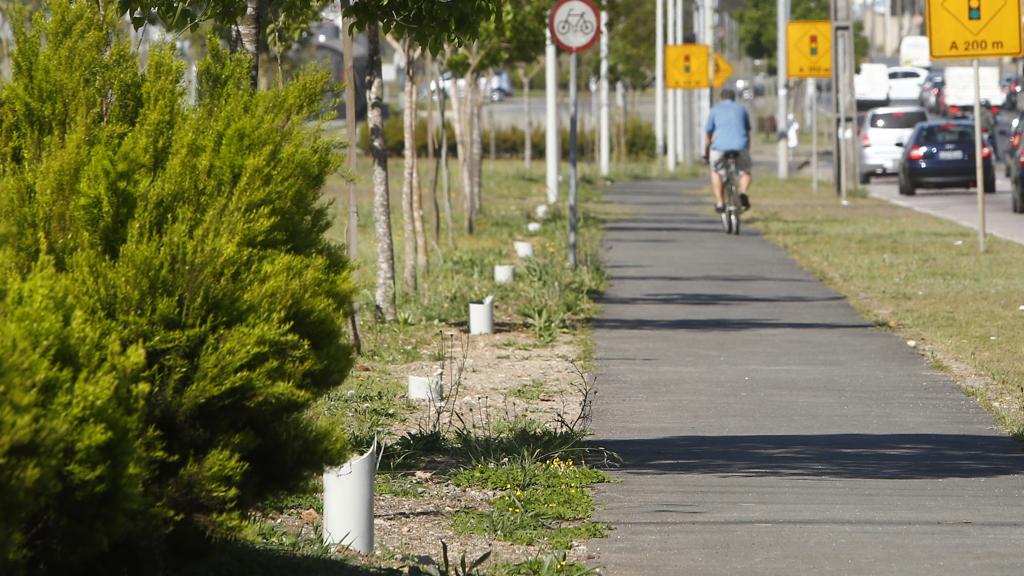 | Aniele Nascimento/Gazeta do Povo