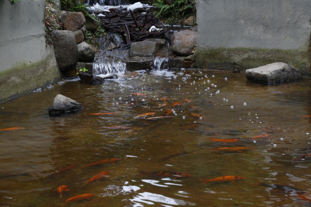 | Aniele Nascimento/Gazeta do Povo
