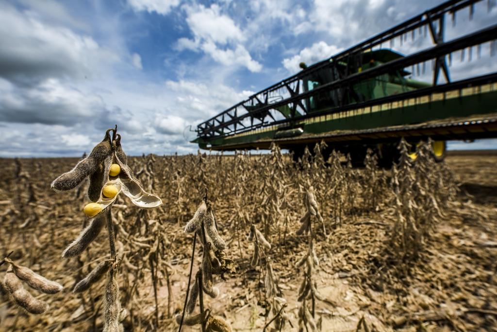 Com alta esperada de 19,6% em relação a 2016, a produção de soja deve ter safra recorde de 115 milhões de toneladas. | Lineu Filho/Gazeta do Povo