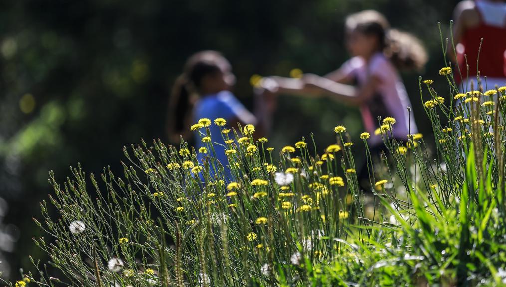 | Jonathan Campos/Gazeta do Povo