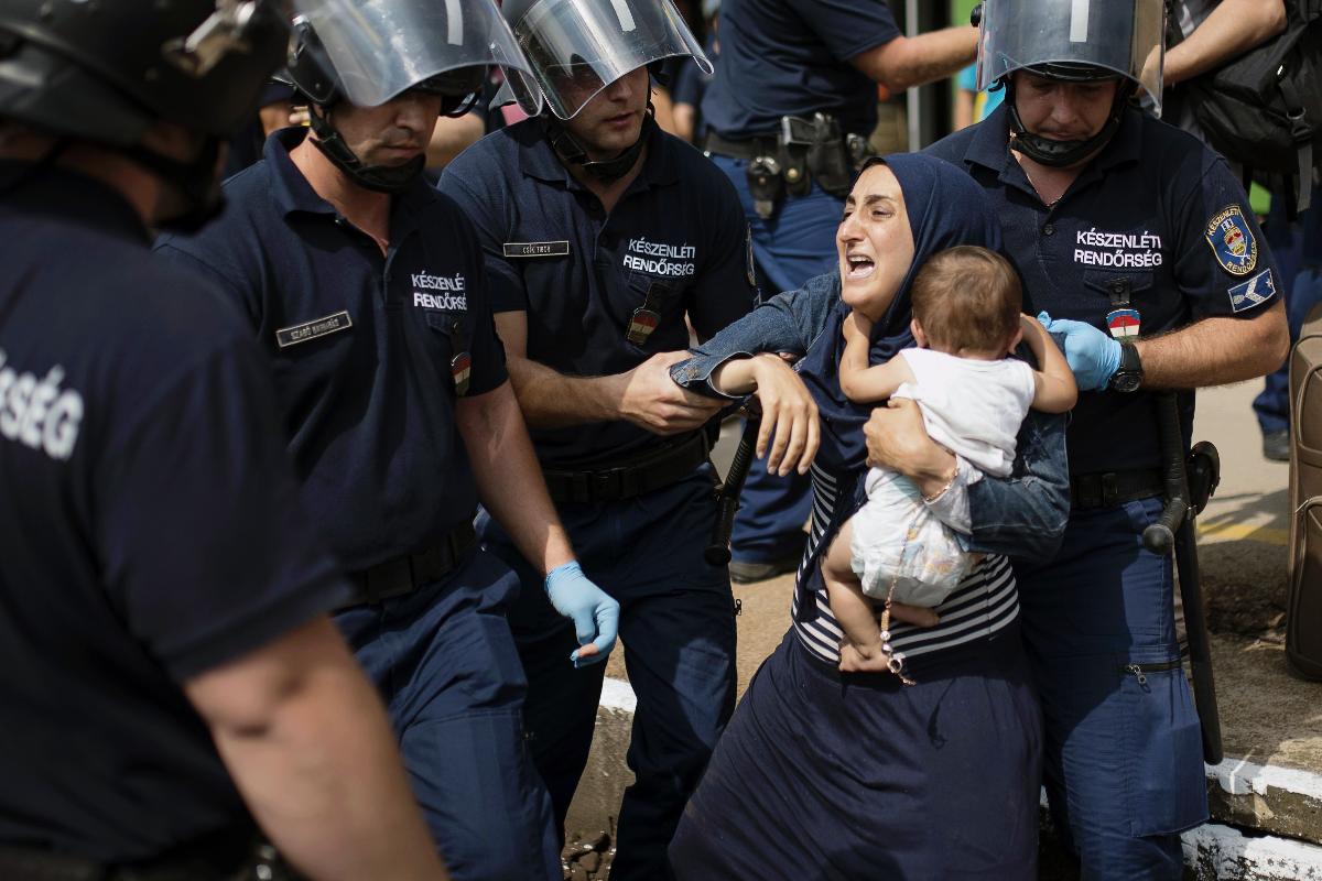 Família de migrantes que ia para Hungria sendo presa pela polícia | ISTVAN BIELIK/AFP