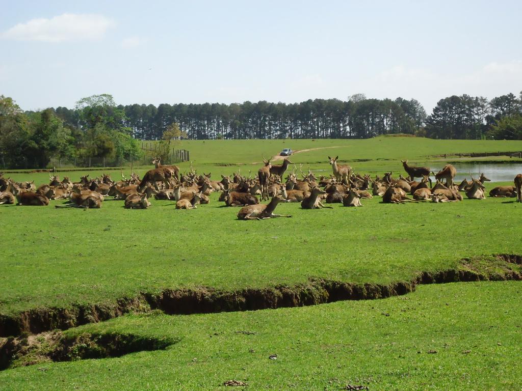 Segundo o Ministério Público do Rio Grande do Sul, que verifica o caso, as informações a respeito do surto de tuberculose não são precisas | Divulgação/MP-RS