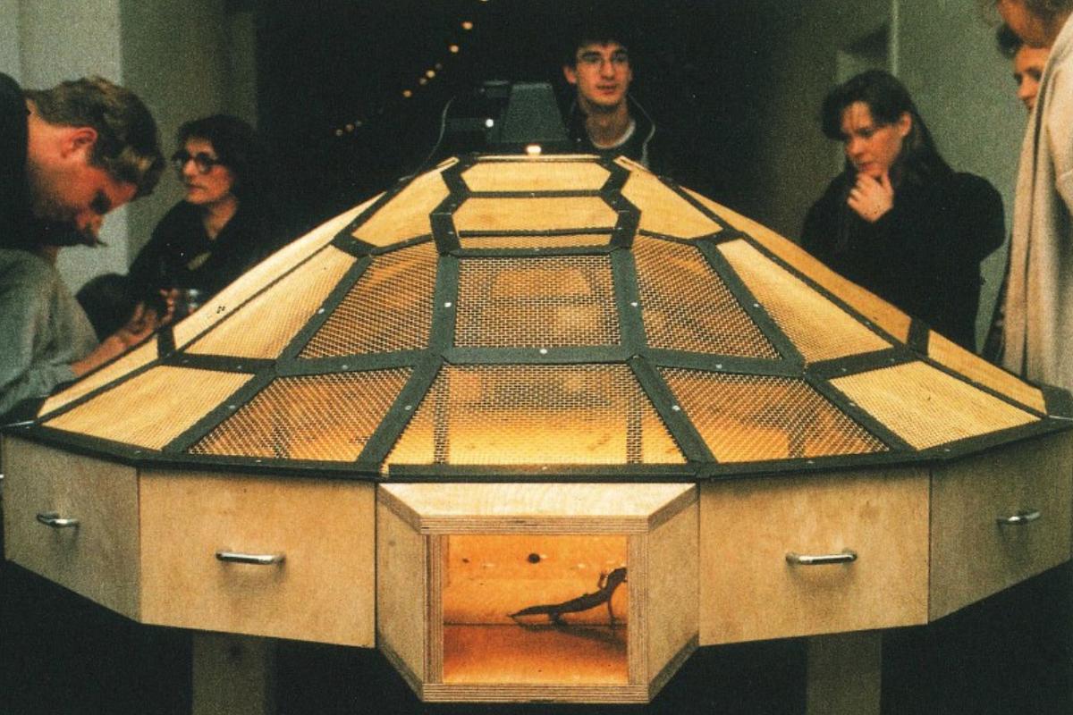 O trabalho "Theatre of the World" traz no seu interior centenas de insetos e répteis lutando pela sobrevivência | Divulgação