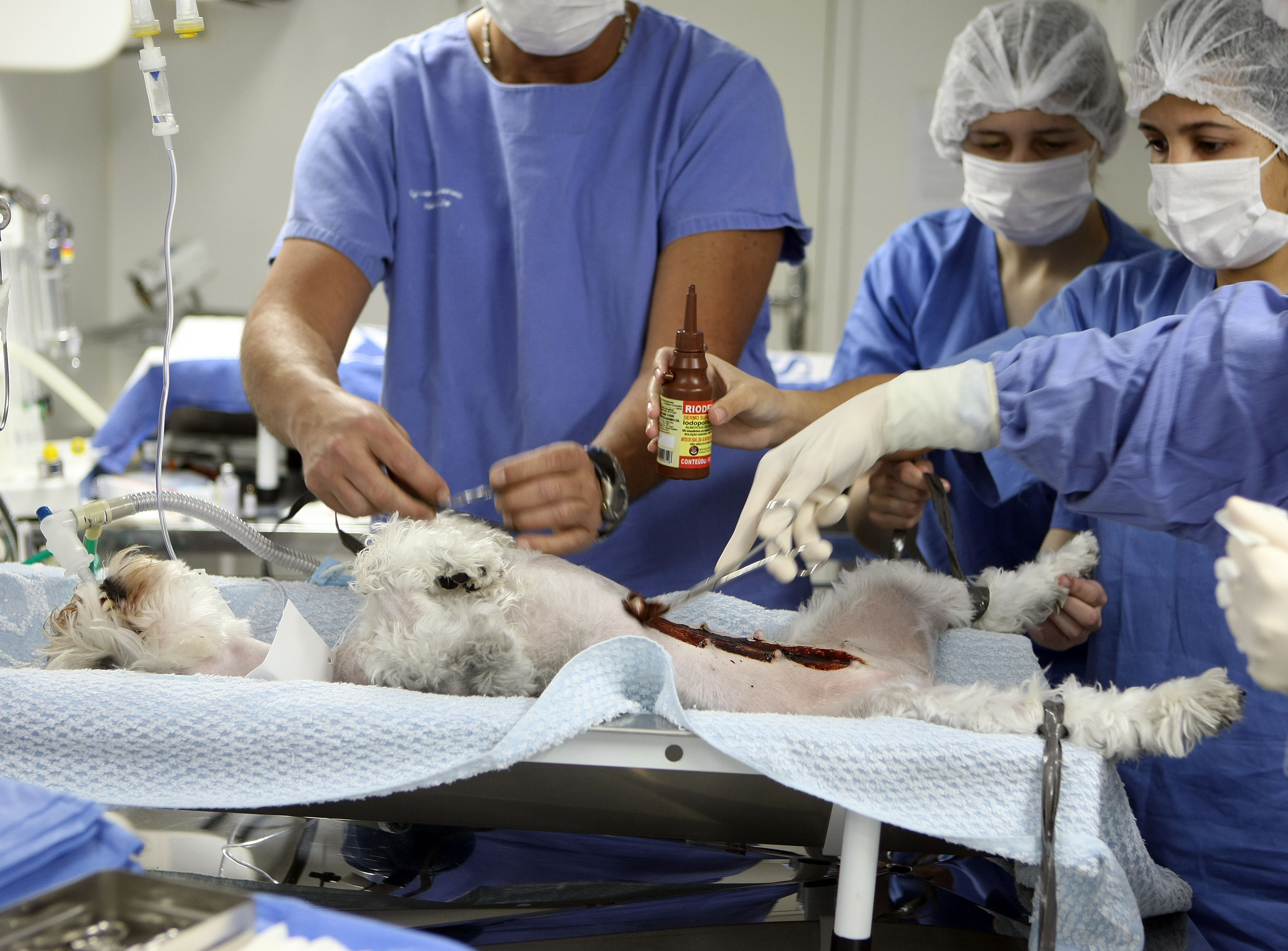  | Valterci Santos/Gazeta do Povo