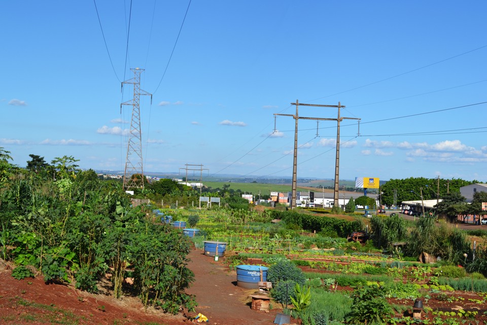 Horta comunitária debaixo da linha de transmissão em Maringá: projeto deve vir a Curitiba. | Copel/
