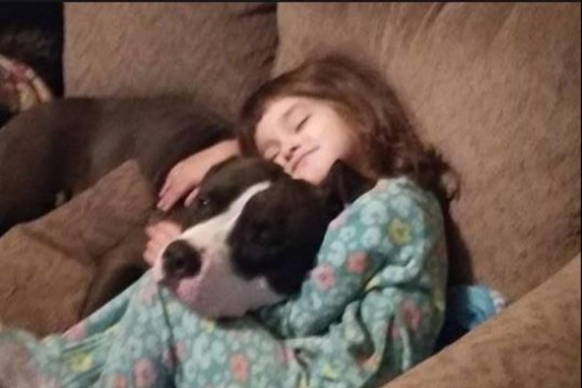 A menina Yanelly Zoller com o cachorro do avô: tragédia evitável | Reprodução