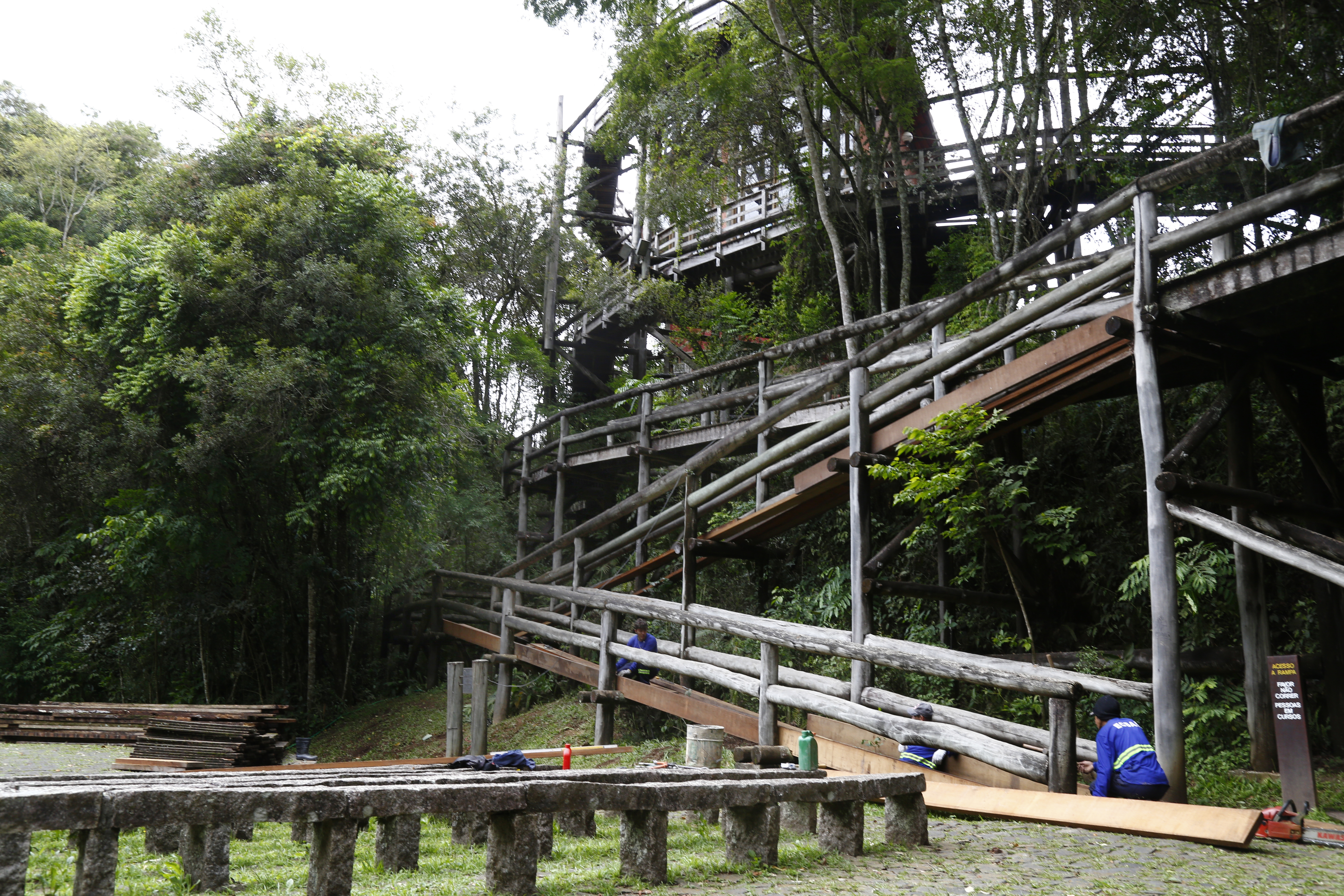 | Aniele Nascimento/Gazeta do Povo