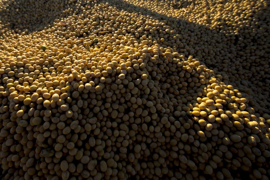 Sobre os custos de produção, o USDA destaca que a temporada de 2017/18 deve ter despesas de 6% a 10% menores que as da safra passada. | Lineu Filho/Gazeta do Povo