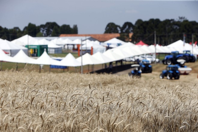  | Albari Rosa/Gazeta do Povo