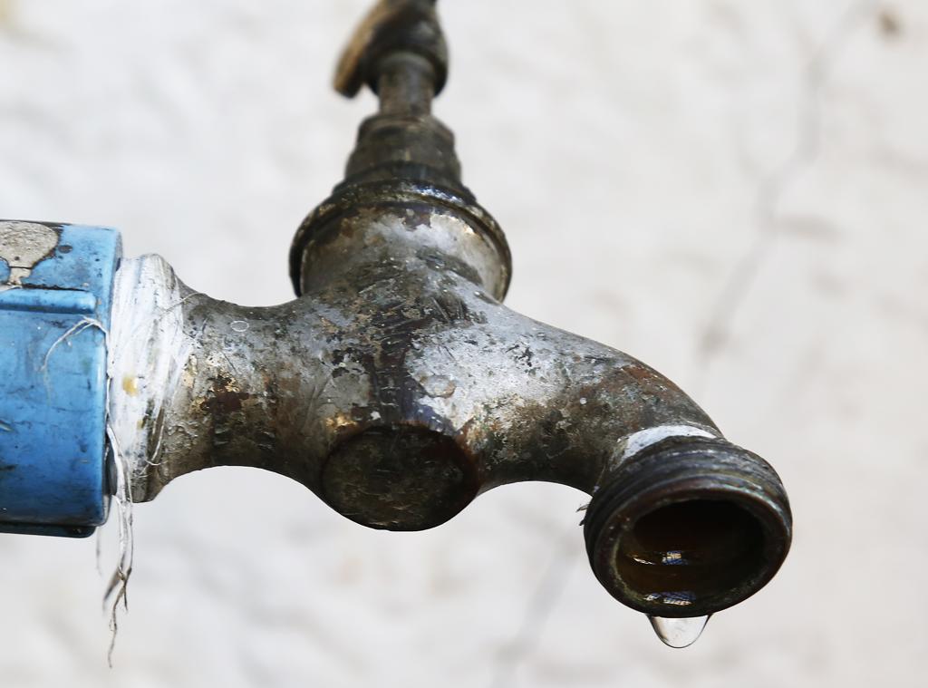 | Alexandre Mazzo/Gazeta do Povo