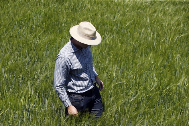  | Albari Rosa/Gazeta do Povo