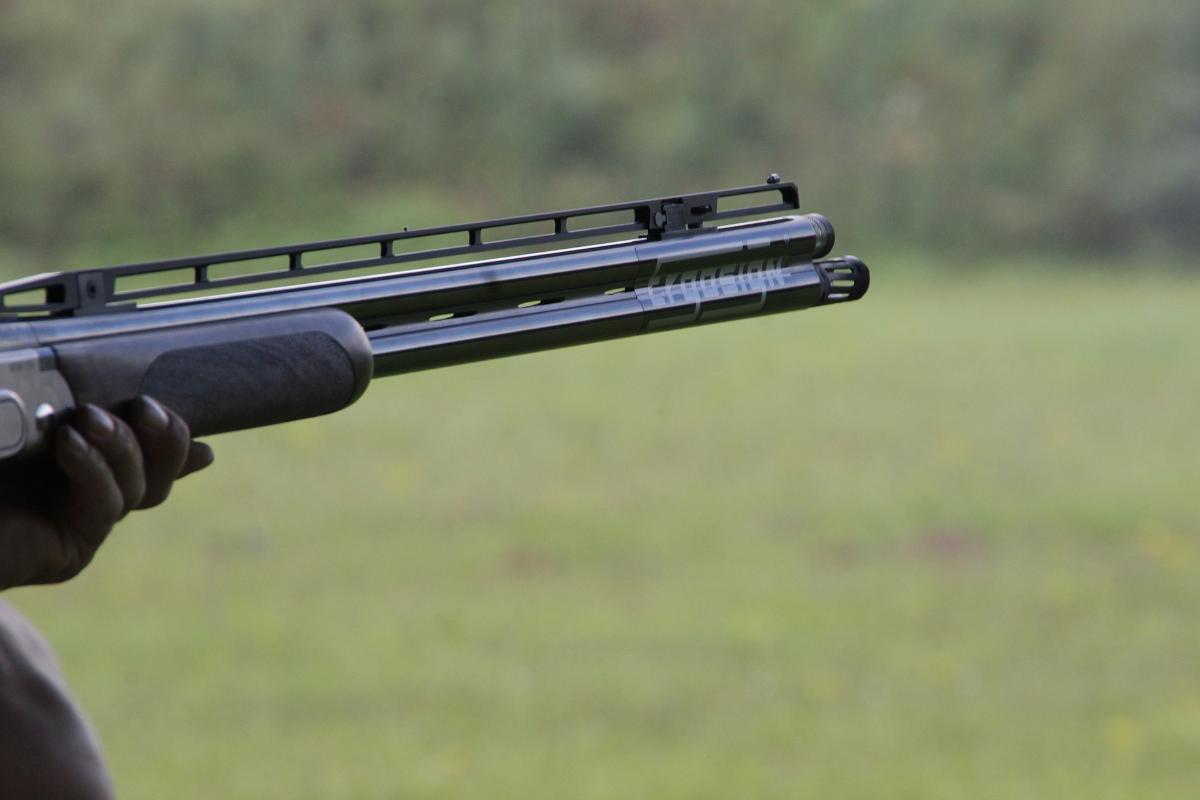 As leis rígidas de desarmamento do Reino Unido e da Austrália não indicam muito como poderiam ser as políticas nos EUA | Pixabay