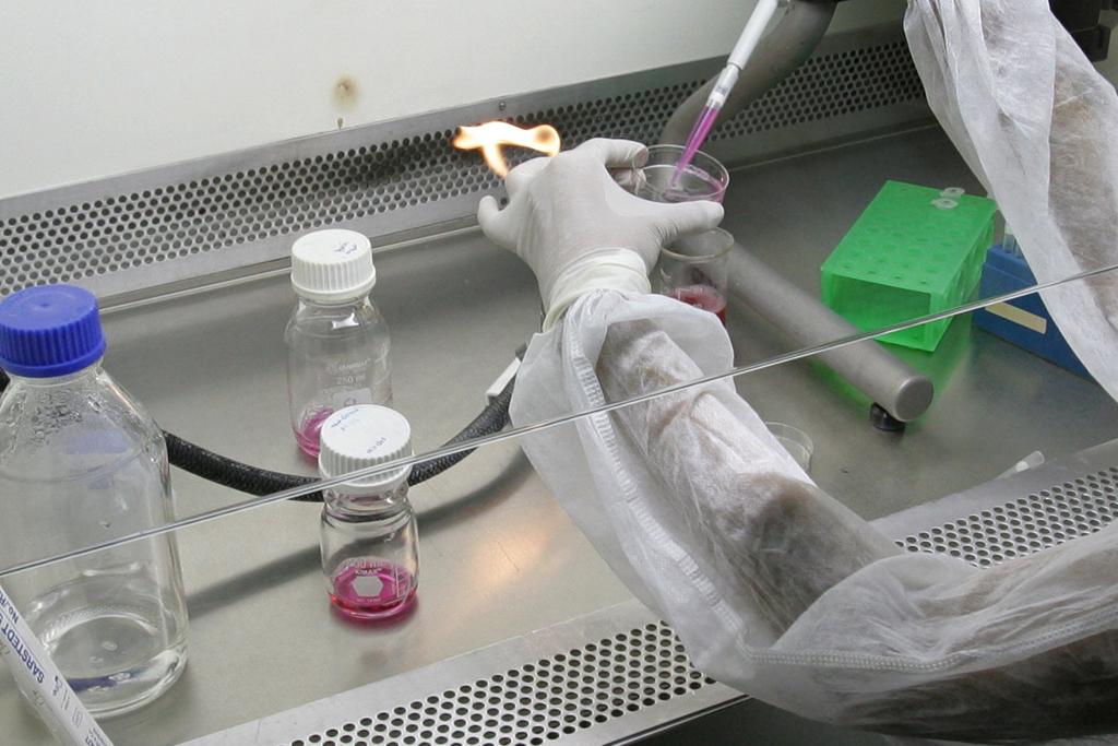 | Mauricio Lima/Arquivo Gazeta do Povo