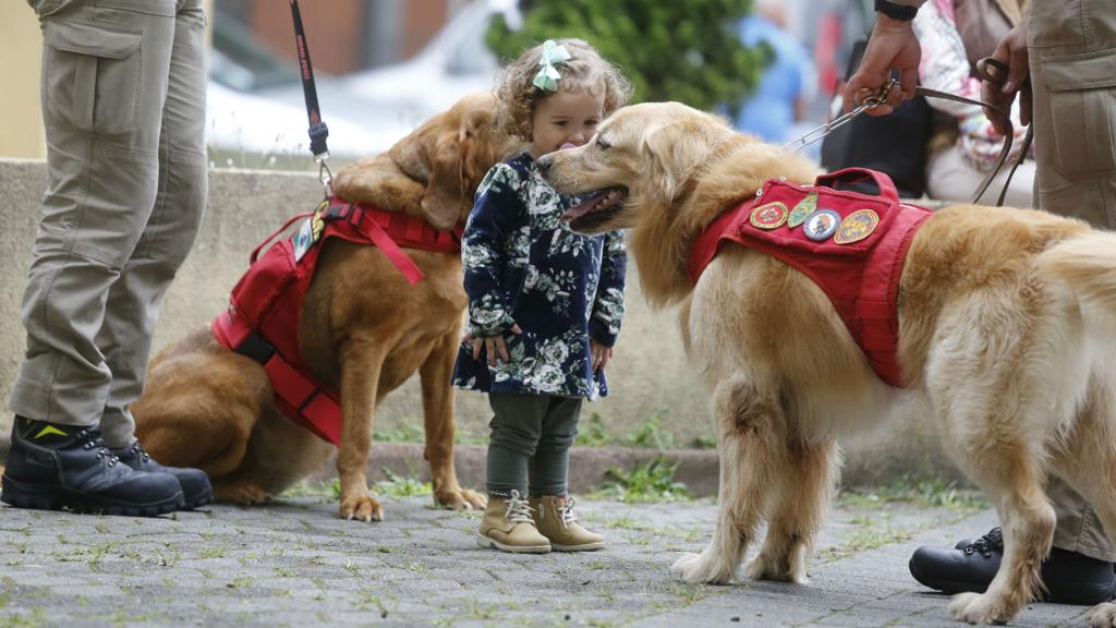 Comemoração do Dia das Crianças foi diferente na ala pediátrica do Hospital Evangélico | Felipe Rosa/Tribuna do Paraná