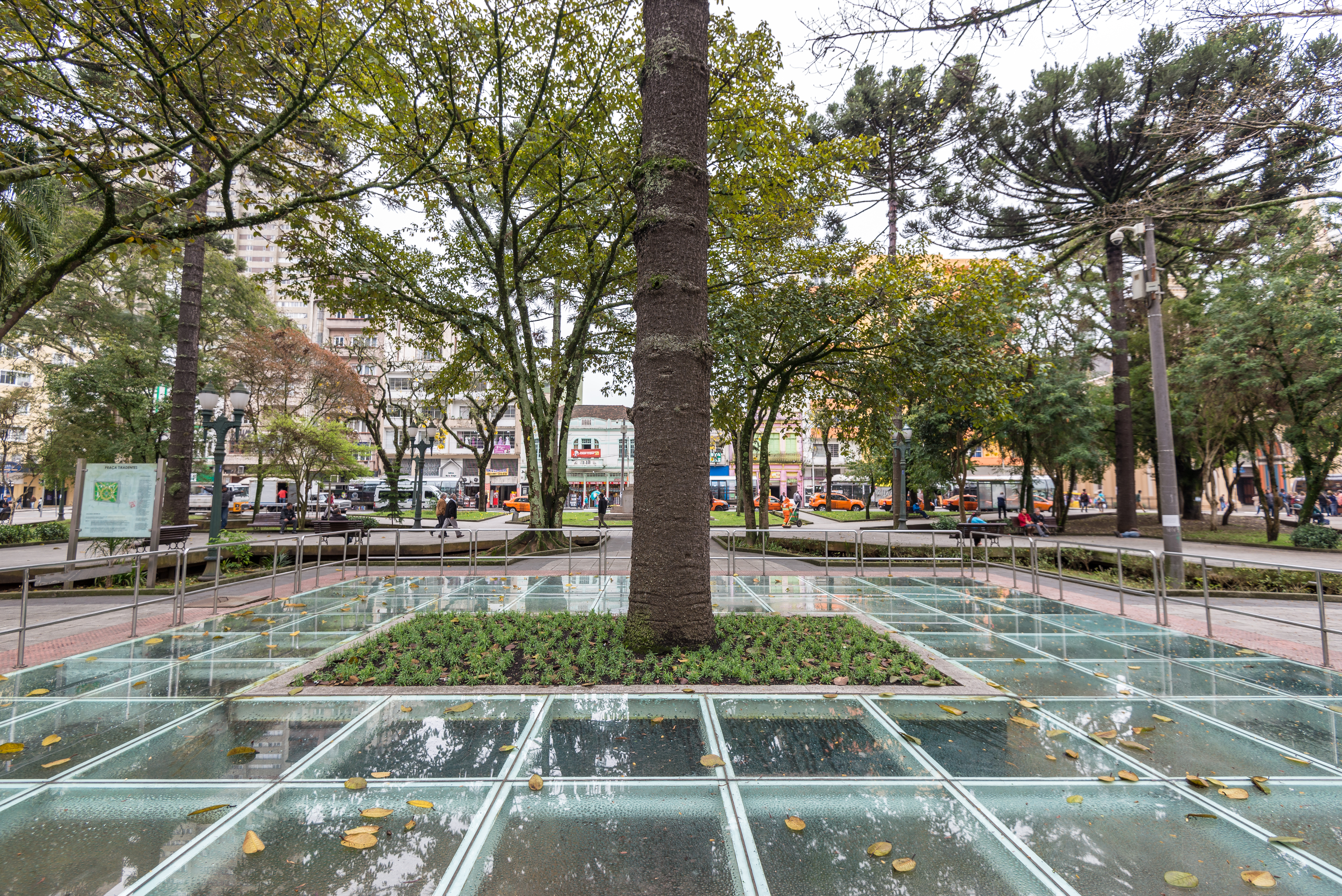 | Fernando Zequinão/Gazeta do Povo