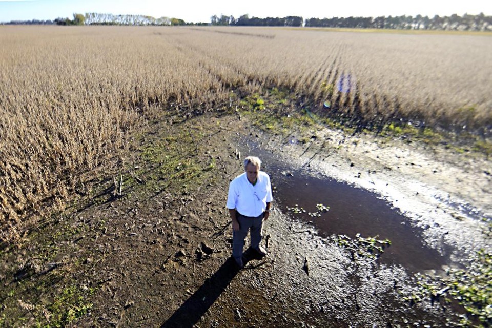 Até o momento já foram liberados R$ 377,4 milhões dos R$ 400 milhões programados para  o Programa de Subvenção ao Prêmio de Seguro Rural 2017. | Albari Rosa/Gazeta do Povo