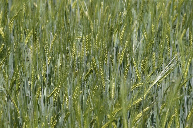  | Albari Rosa/Gazeta do Povo