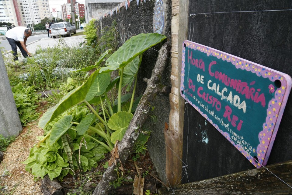 Horta Comunitária de Calçada Cristo Rei é um dos projetos escolhidos pela ONU no programa Feed Your City. | Aniele Nascimento/Gazeta do Povo