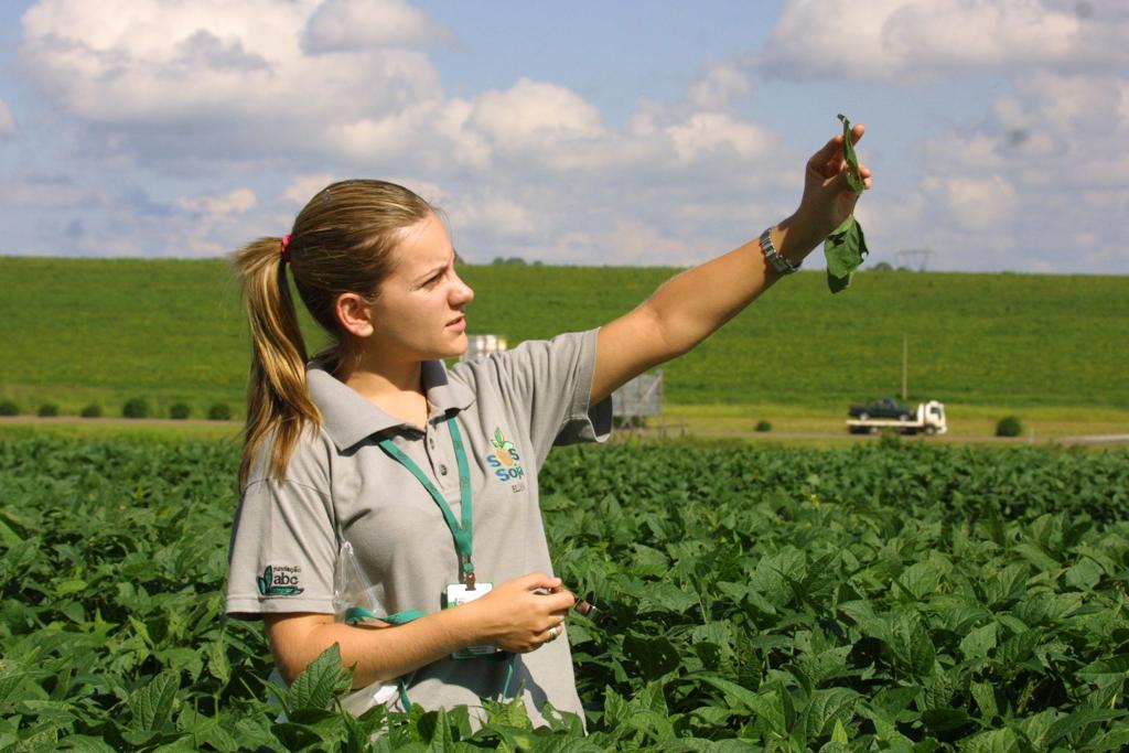 Das 862 entrevistadas, quase a metade ainda declara sentir preconceito sutil no trabalho | ARQUIVO/GAZETA DO POVO