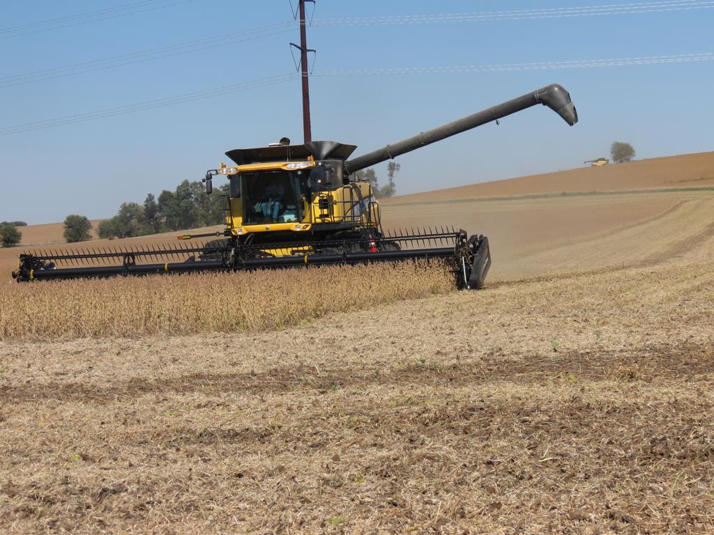 Nesta quinta-feira (12), o Departamento de Agricultura dos Estados Unidos (USDA) vai divulgar o balanço de oferta e demanda. | José Rocher/Gazeta do Povo