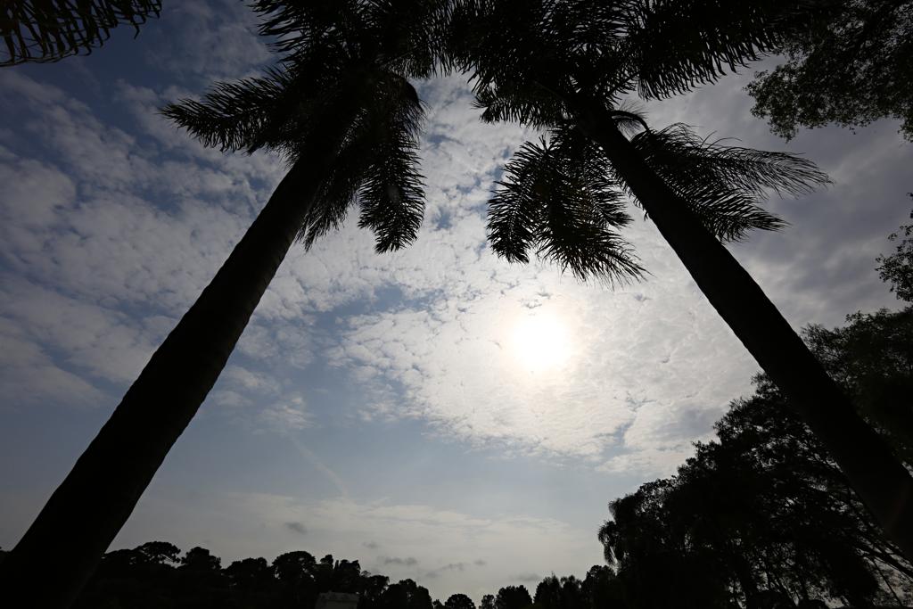 | Aniele Nascimento/Gazeta do Povo