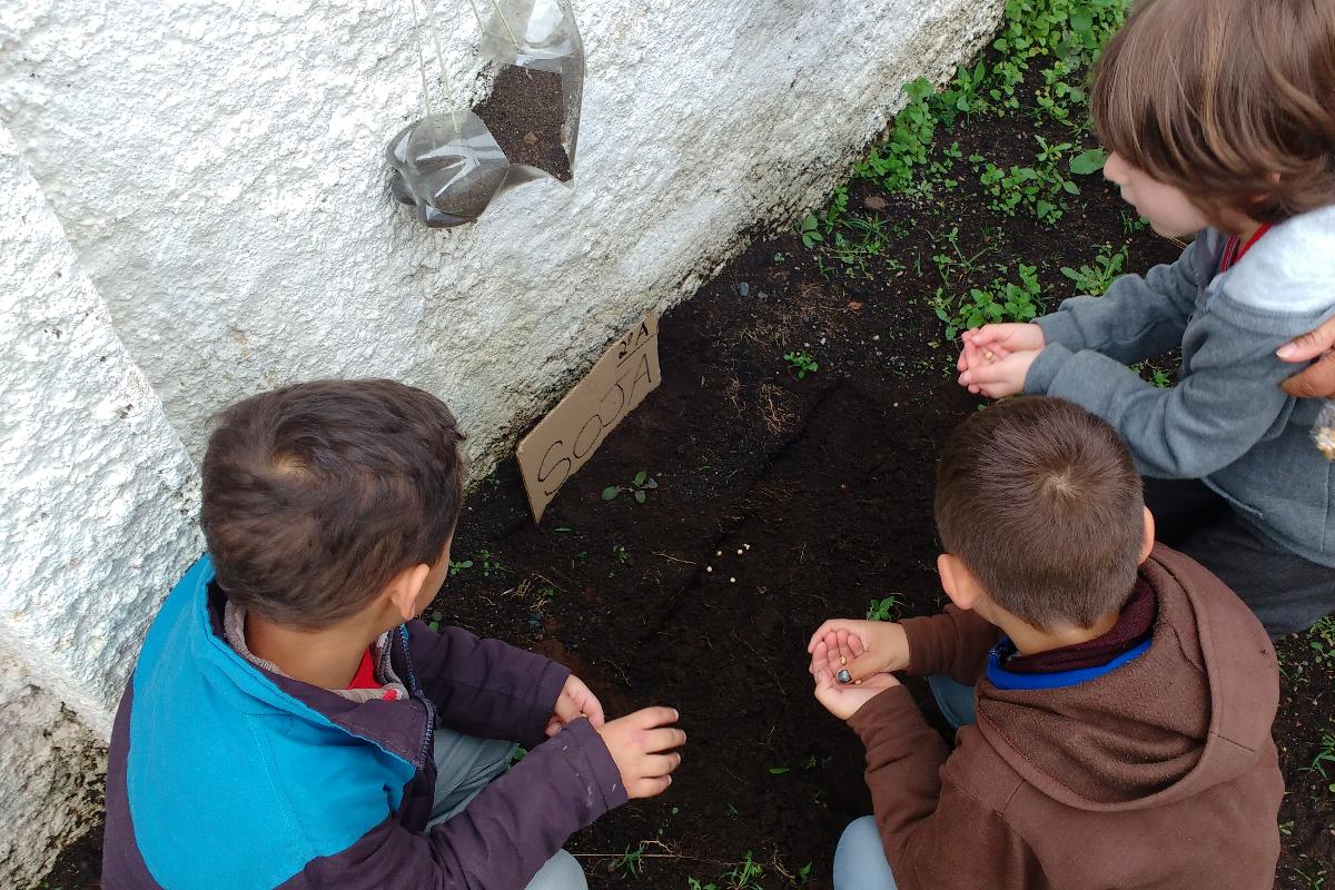 Plantio da soja foi feito pela turma inteira | Acervo pessoal
