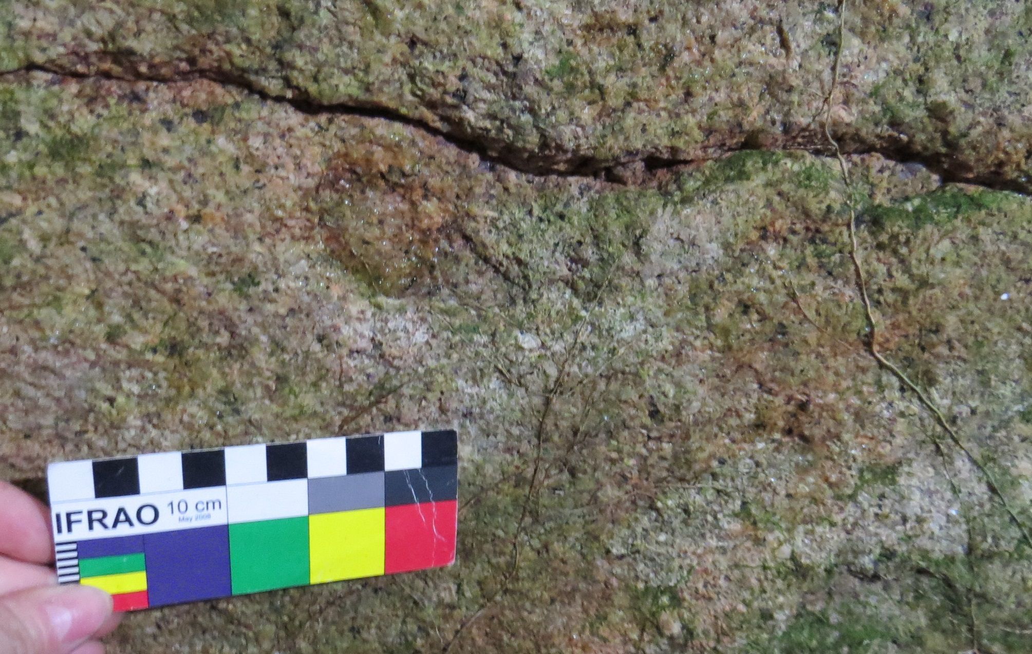 | Claudia Parellada/Arquivo Pessoal