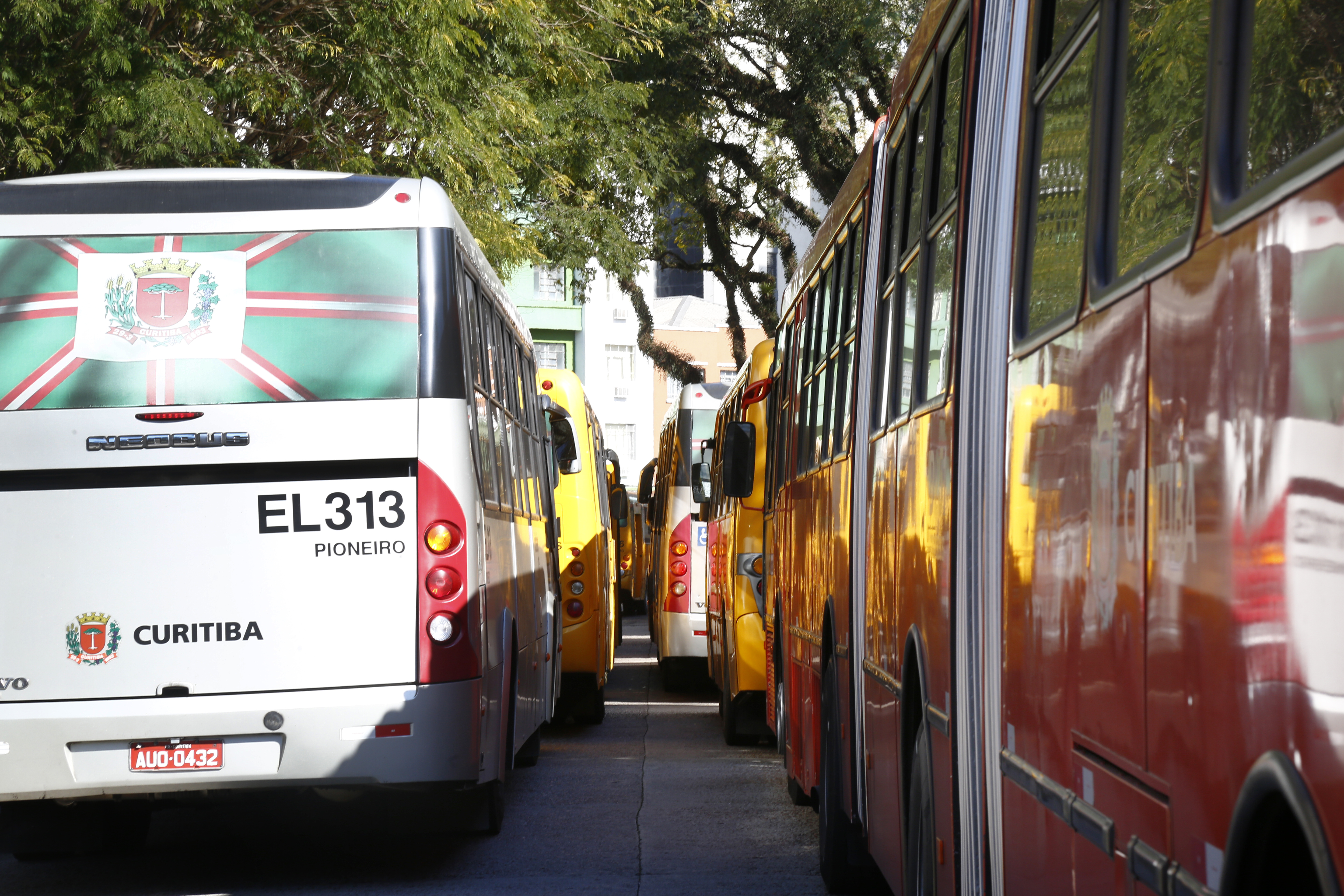 | Aniele Nascimento/Gazeta do Povo