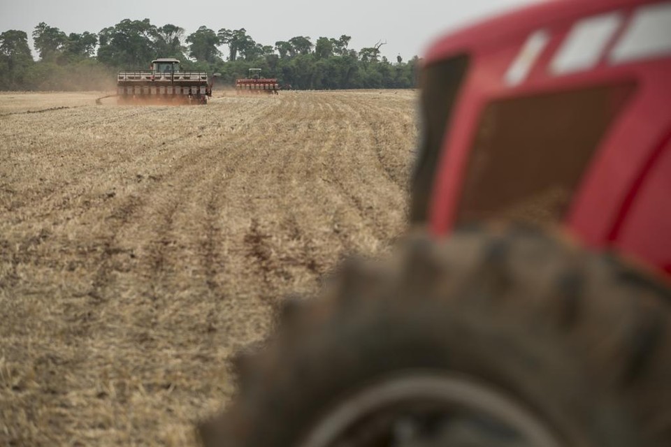 Na última semana, os produtores correram para campo para aproveitar a chuva do fim de semana. | Marcelo Andrade/Gazeta do Povo