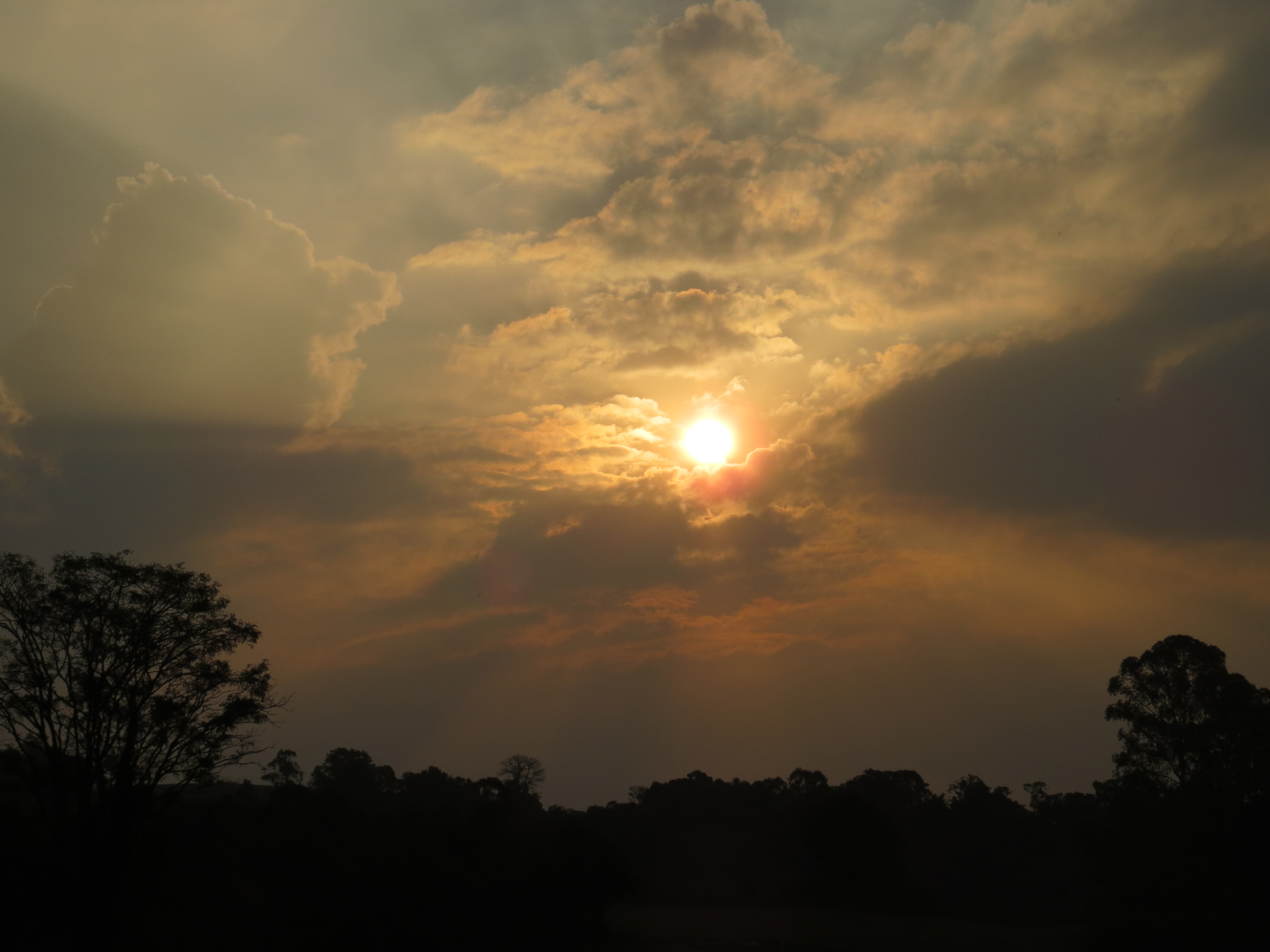 Depois de dois dias consecutivos de ar gelado, a frente fria pede força e dá chance para dias mais quentes em Curitiba | Aniele Nascimento/Gazeta do Povo