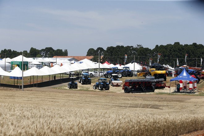  | Albari Rosa/Gazeta do Povo