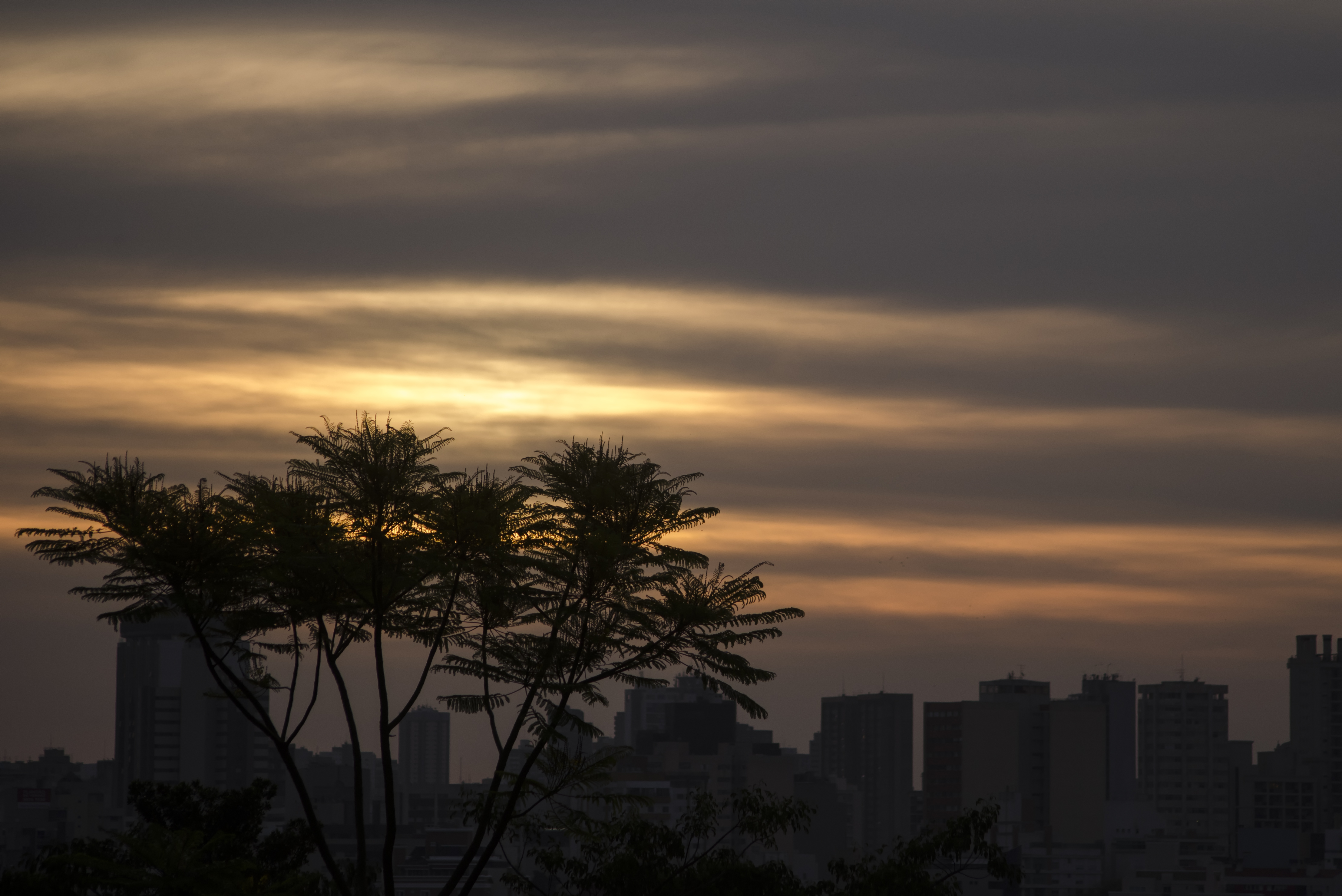 | Maicon J. Gomes/Gazeta do Povo