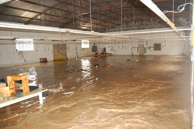Foto mostra um galpão alagado durante a enchente de 2010 em Tomazina, no Norte Pioneiro do Paraná | Felipe Peres/Gazeta do Povo/Arquivo