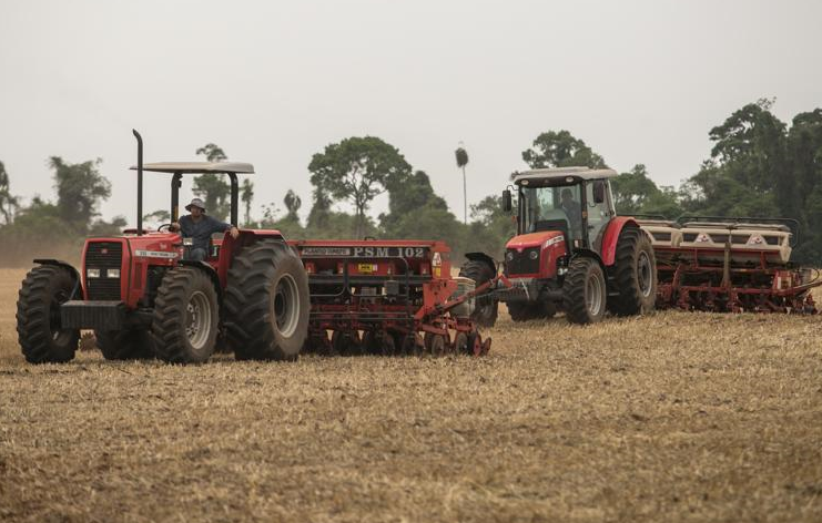  | Marcelo Andrade/Gazeta do Povo